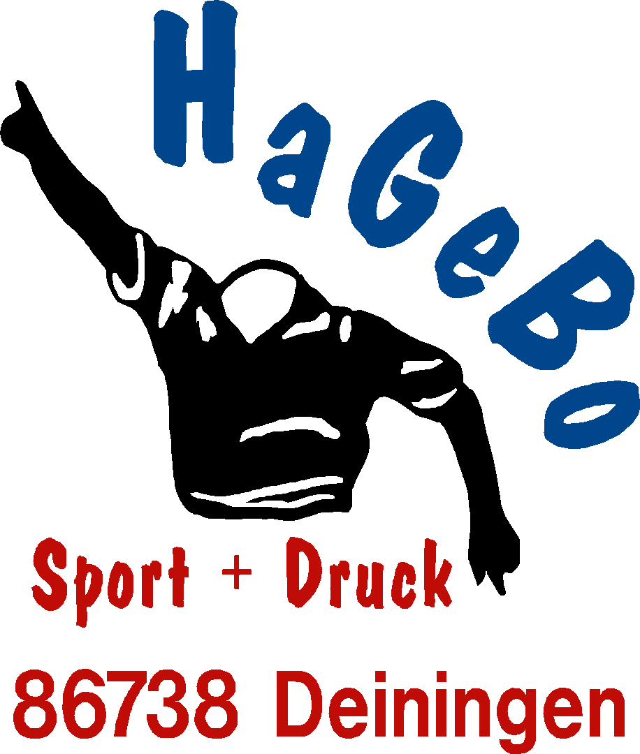 FC Mertingen Logo 2