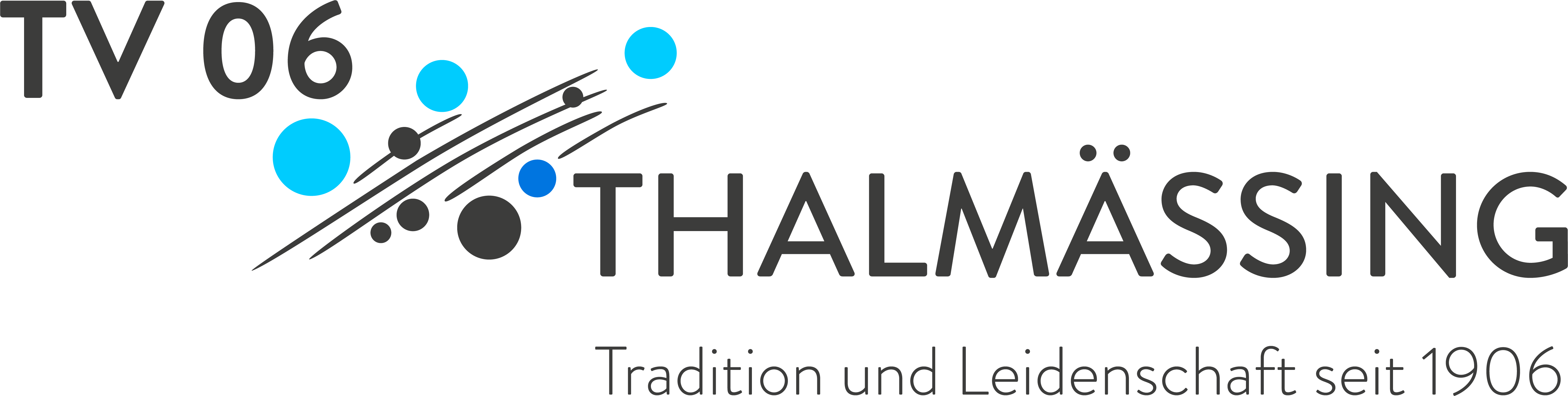 TV 06 Thalmässing Logo