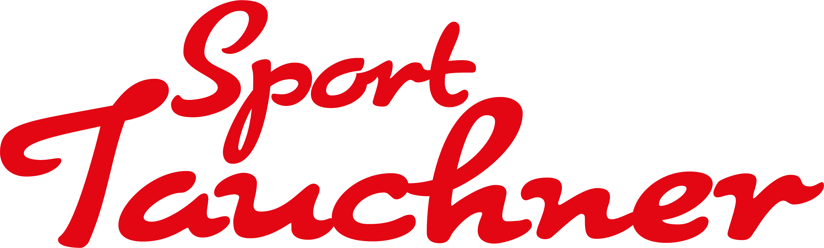 NÖMS Scheiblingkirchen Logo 2