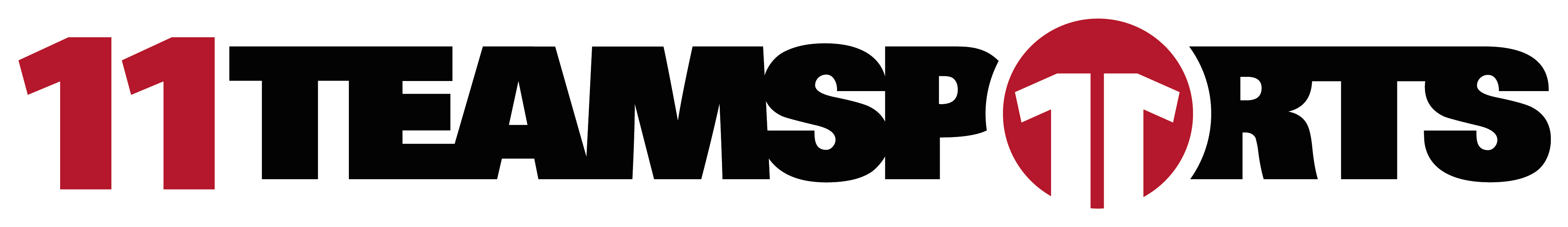 SV Thalfingen Fußball Logo 2