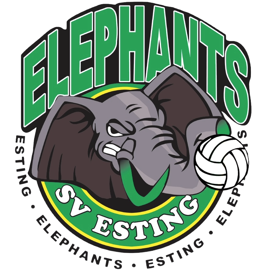 SV Esting Logo