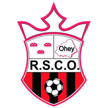 RSC OHEY Logo