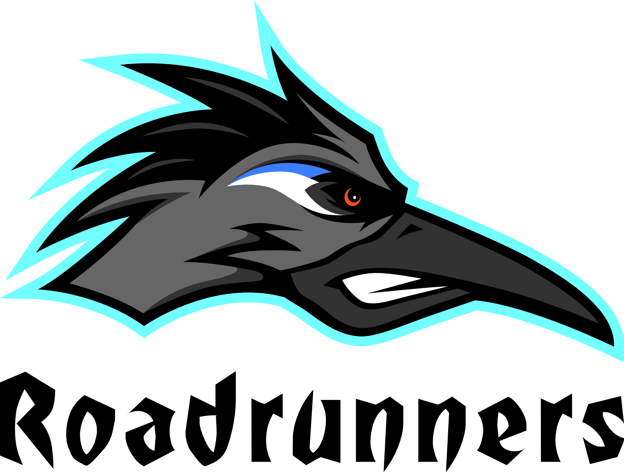 RRV Bad Friedrichshall Roadrunners Logo