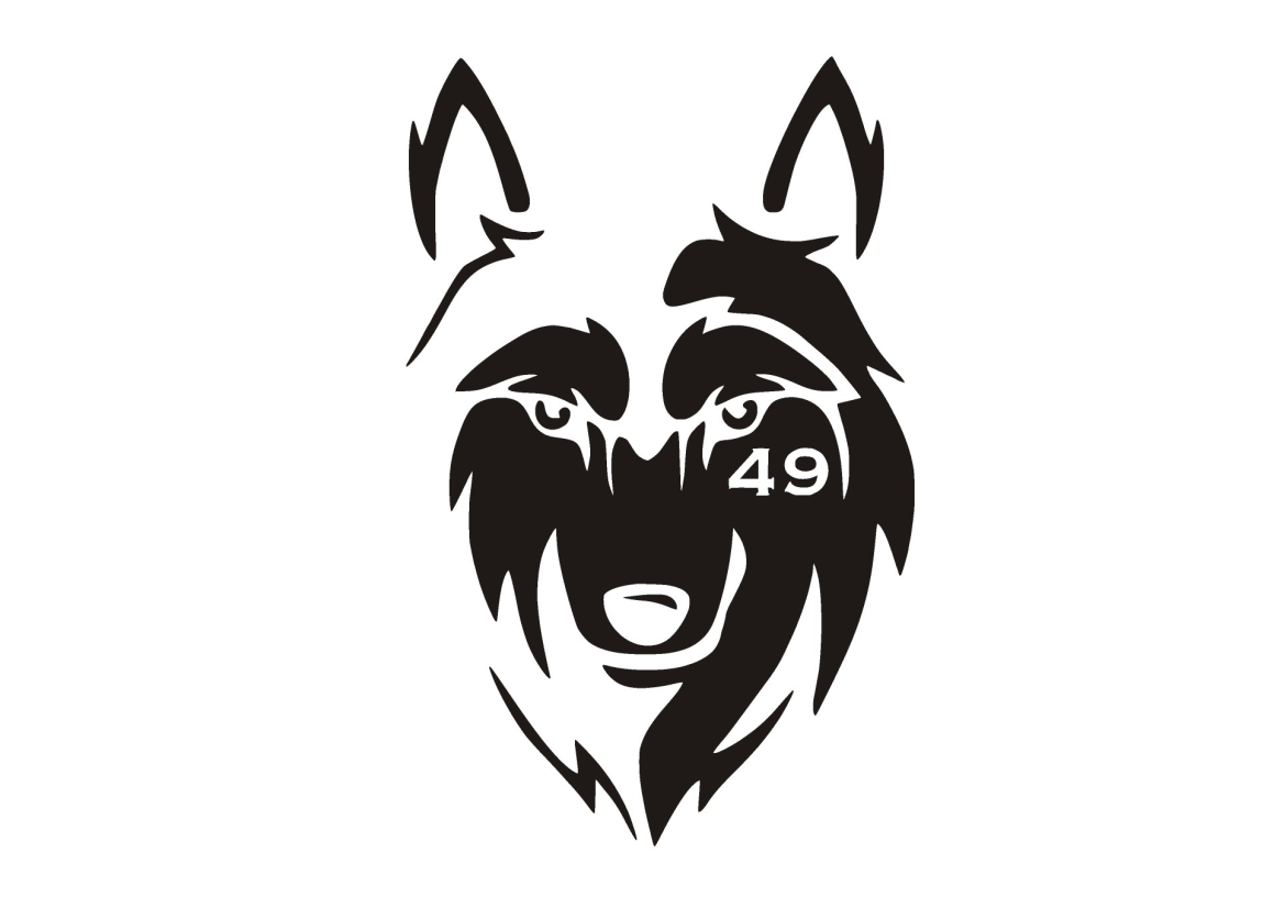 TSV Wolfschlugen Logo