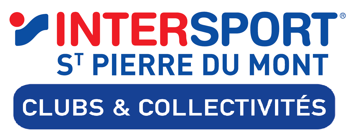 Hand-Ball Club Villeneuvois Logo 2