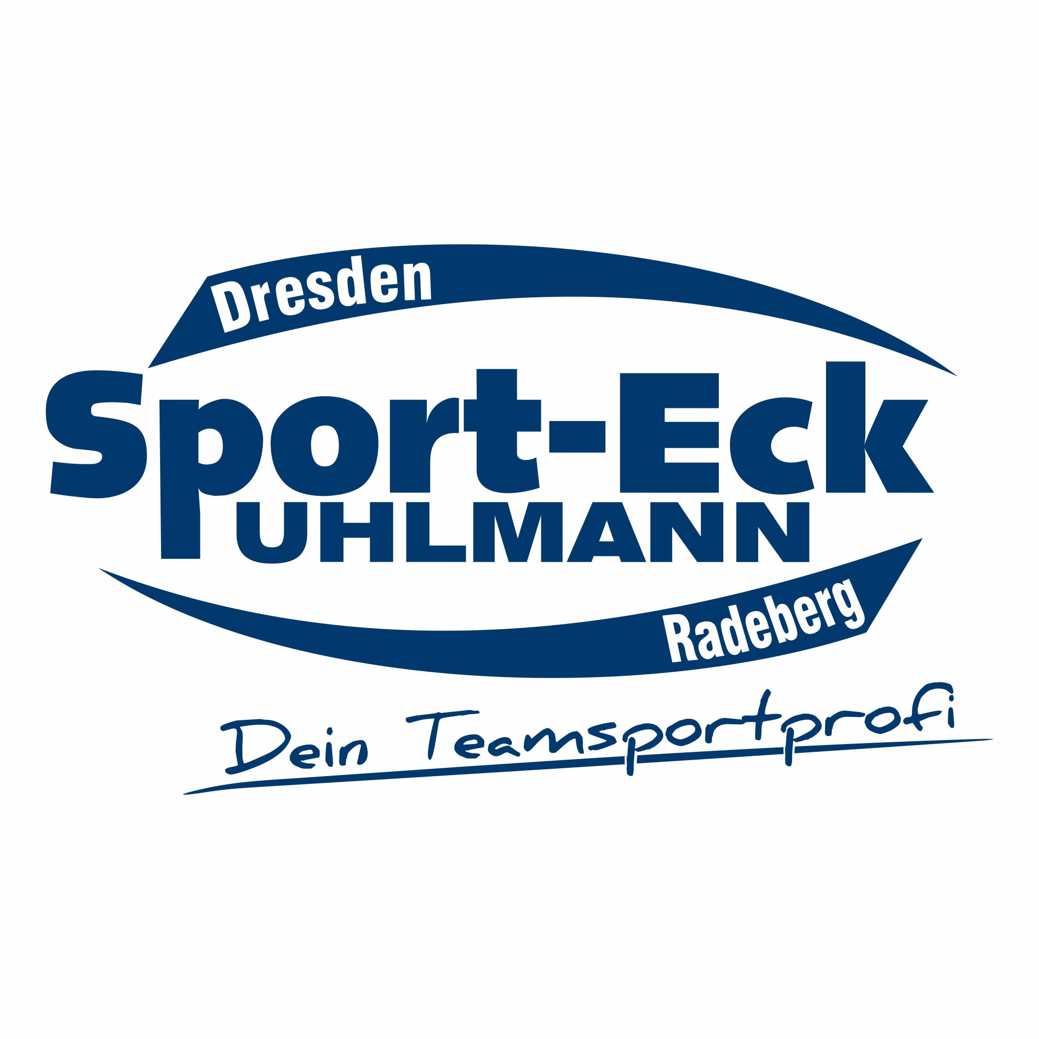 Sebnitzer SV 08 Logo 2