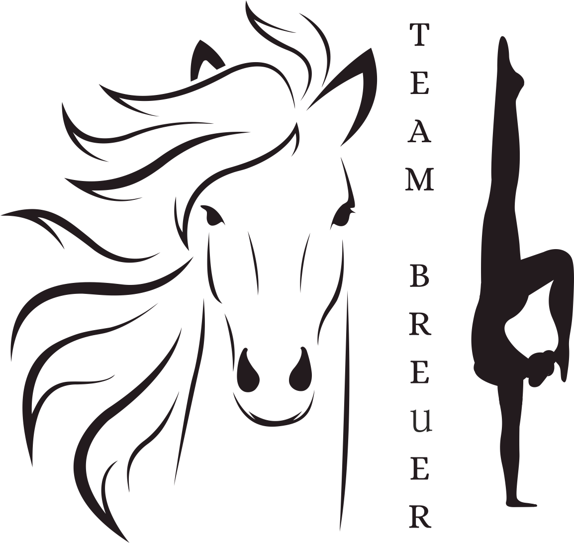 TEAM BREUER Logo