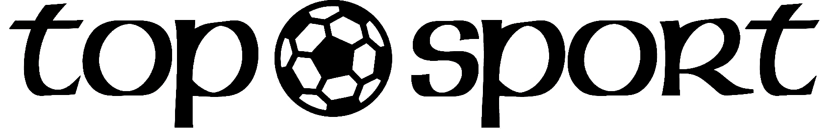 TV Ingersheim Logo 2