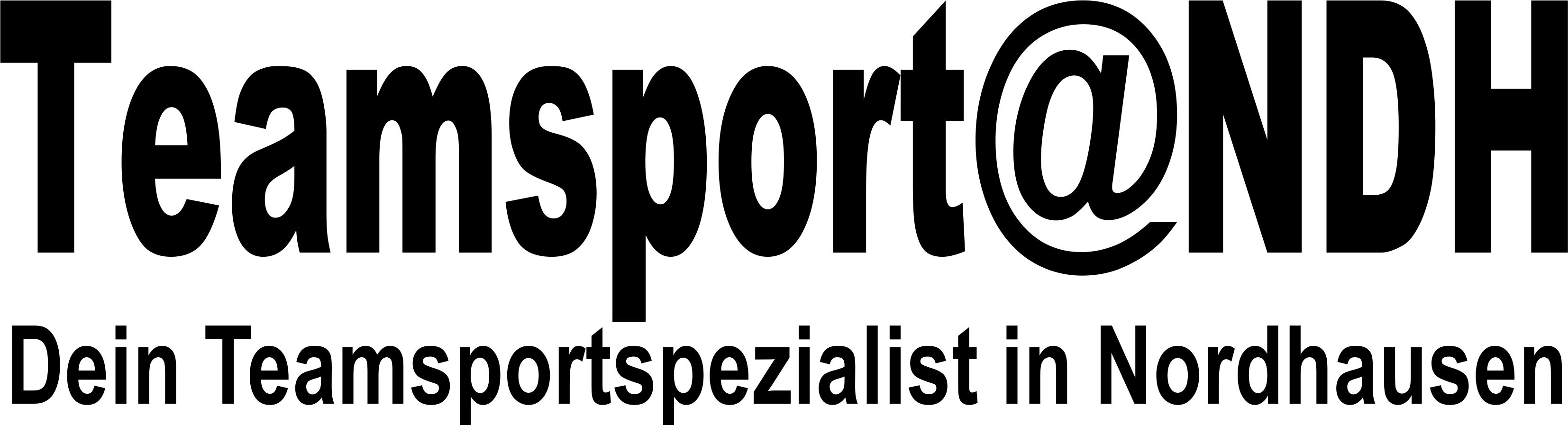 NSV - Handball (Nachwuchs) Logo 2