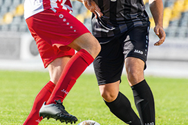 HOFMAN SPORT SCHEENBESCHERMERS Logo