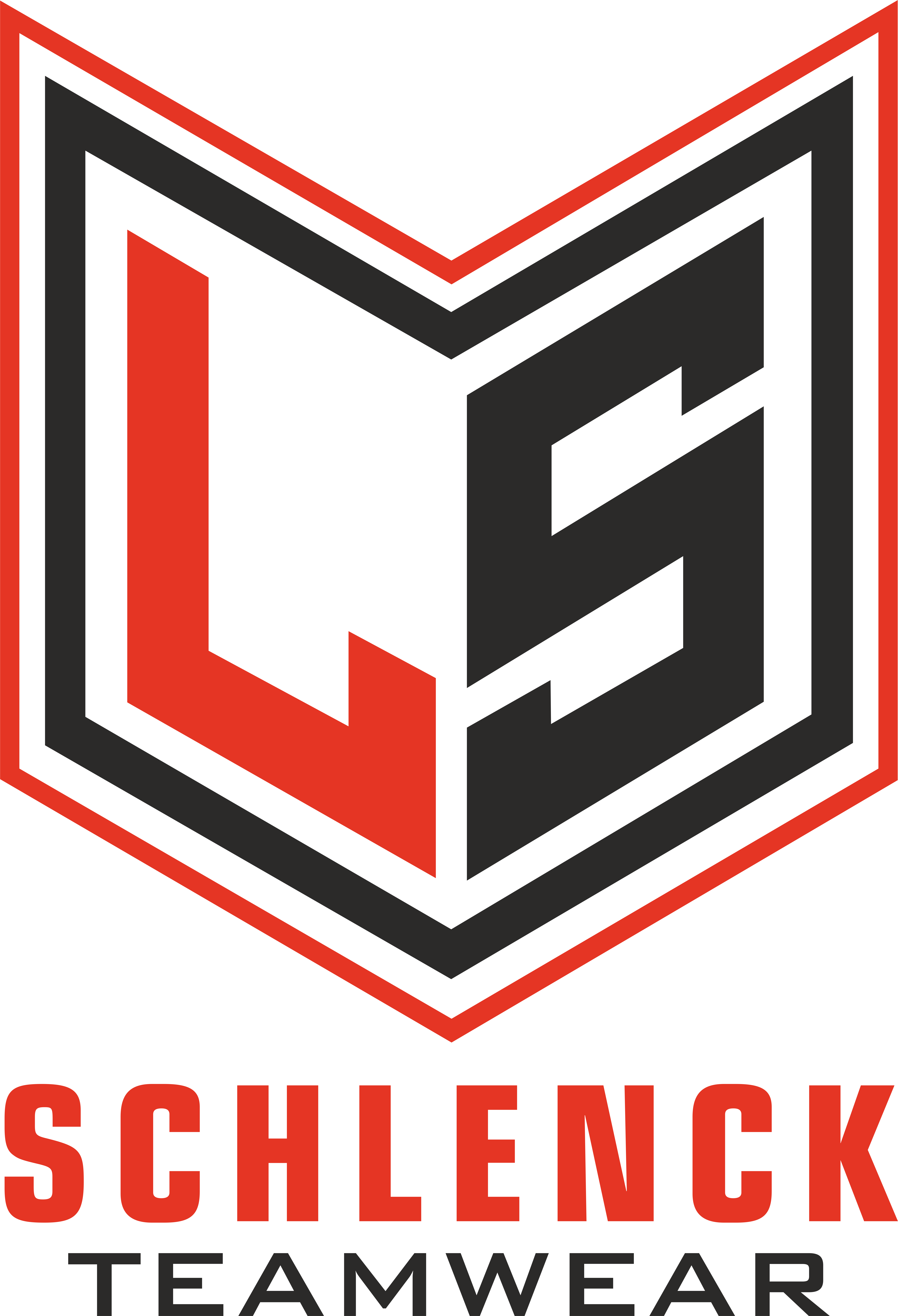 FSV Bayreuth / BSV 98 Logo 2