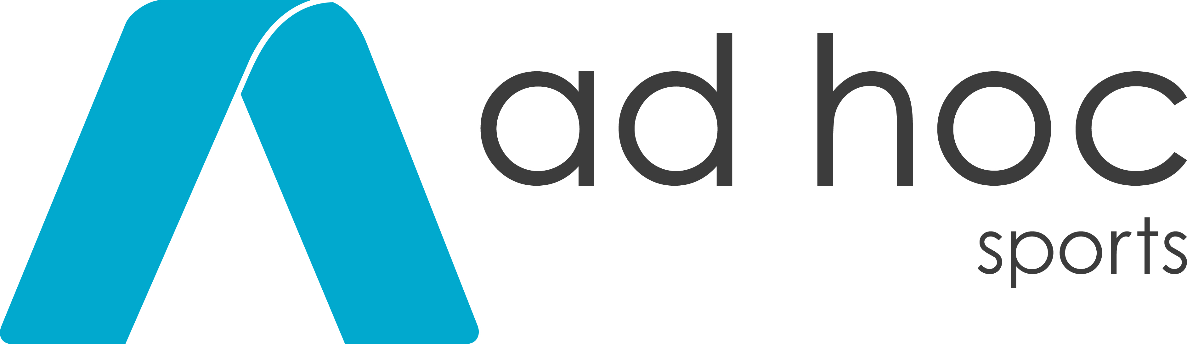 Vogtland Rebels e.V. Logo 2