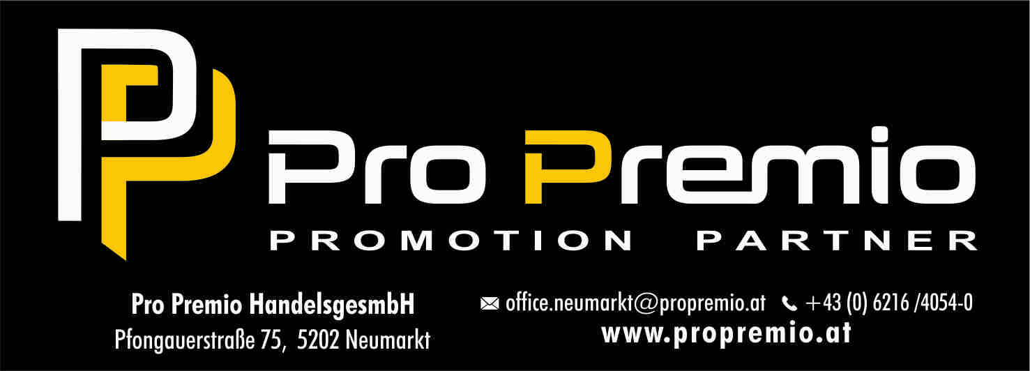 SV Lugstein Cabs FRIEDBURG Logo 2