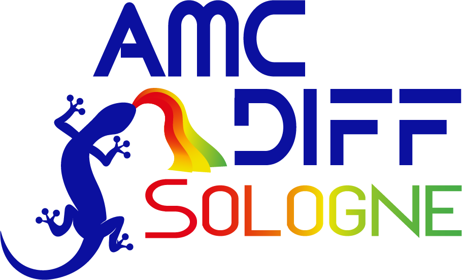 US Nançay Neuvy Vouzeron Logo 2