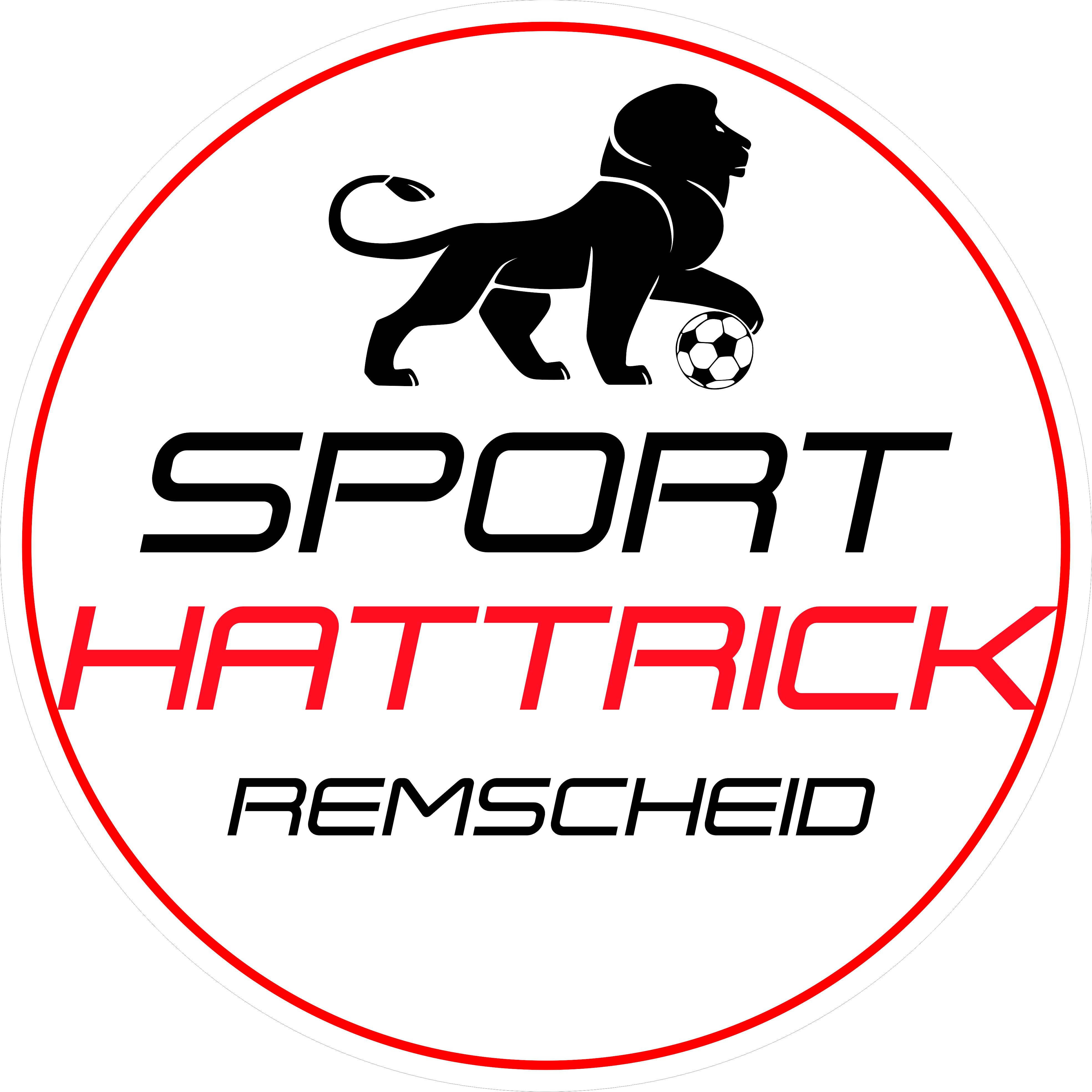 VFB MARATHON REMSCHEID Logo 2