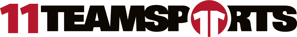 EVZ Murtal Lions Logo 2
