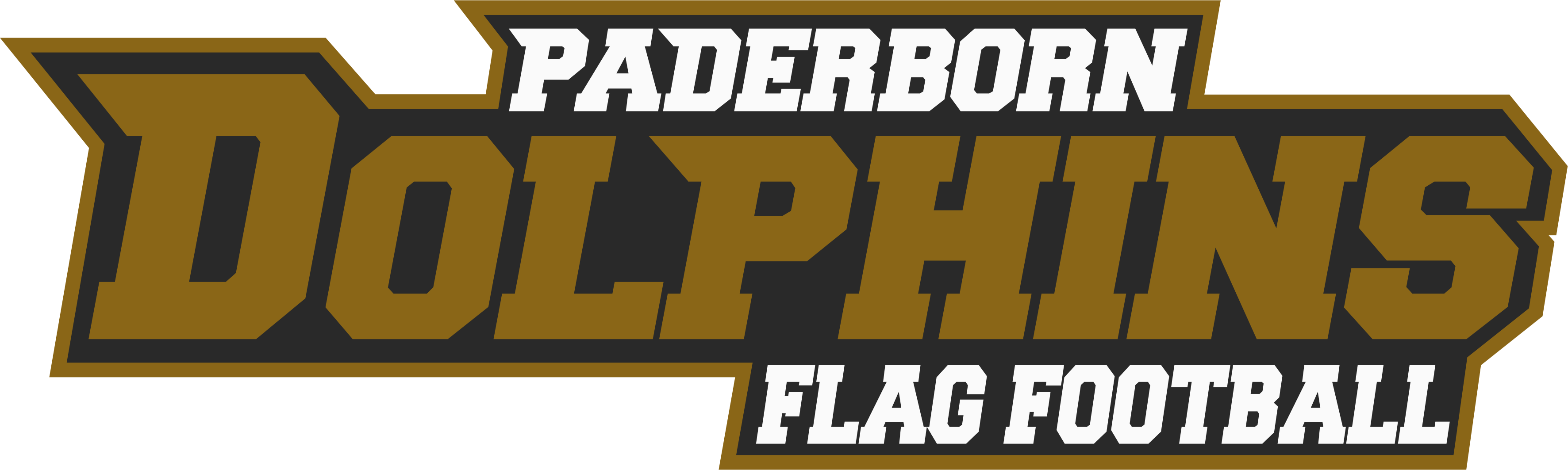 Dolphins Flag Football Logo