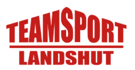 TSV Rottenburg Handball Logo 2