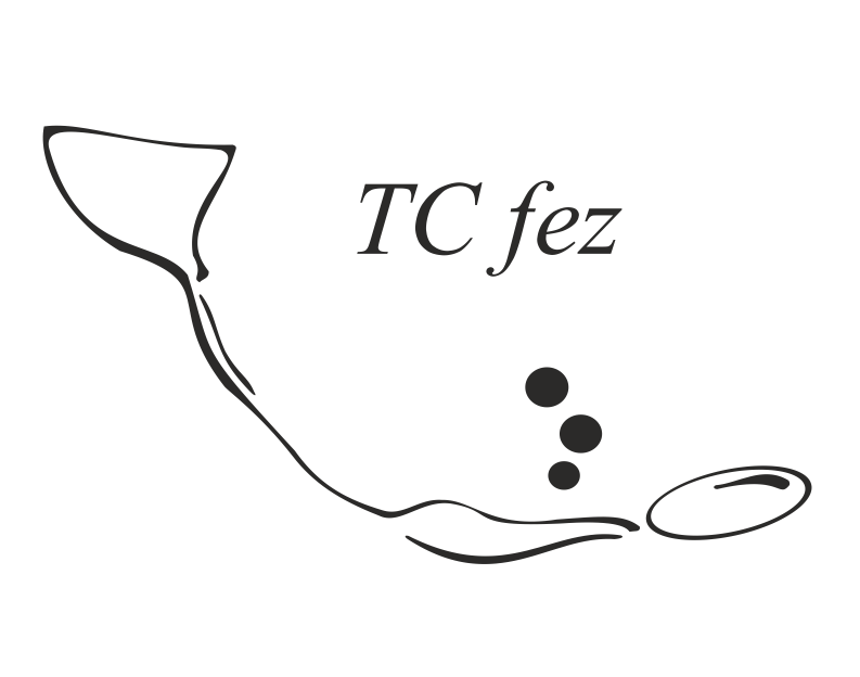 TC fez Logo