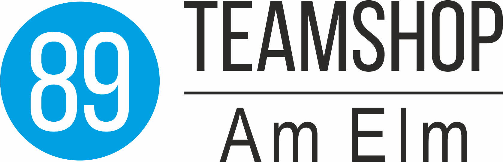 TB Wendhausen Logo 2