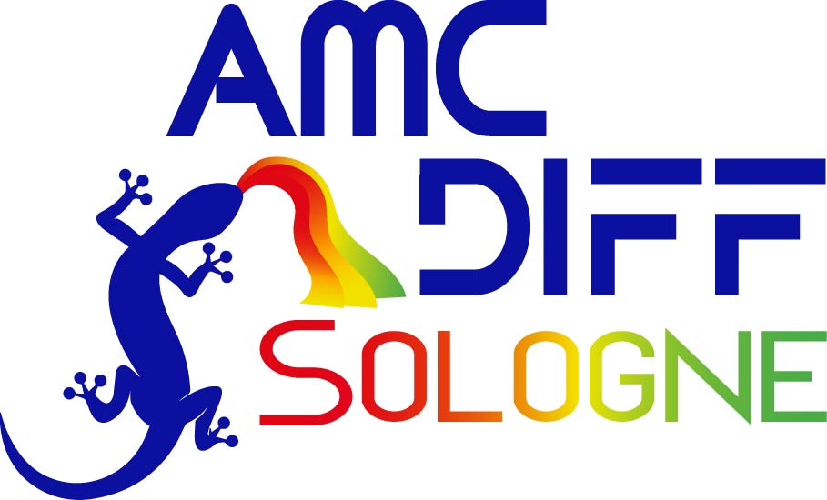 Badminton Club Cour Cheverny Cellettes Logo 2