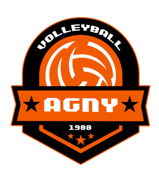 AGNY VOLLEY BALL Logo
