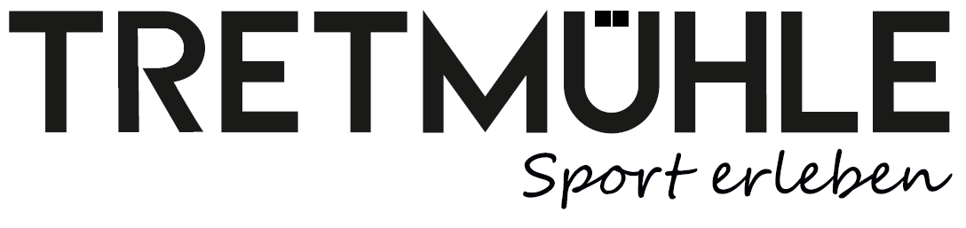 SV Adler 09 Niederfischbach Logo 2