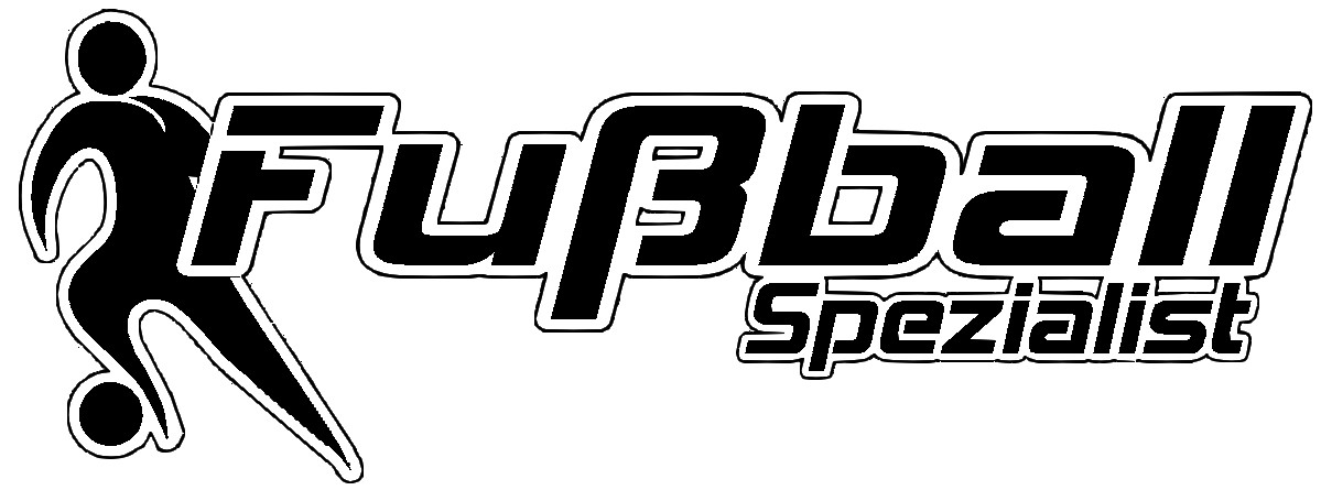 VfB Fallersleben Shop Logo 2