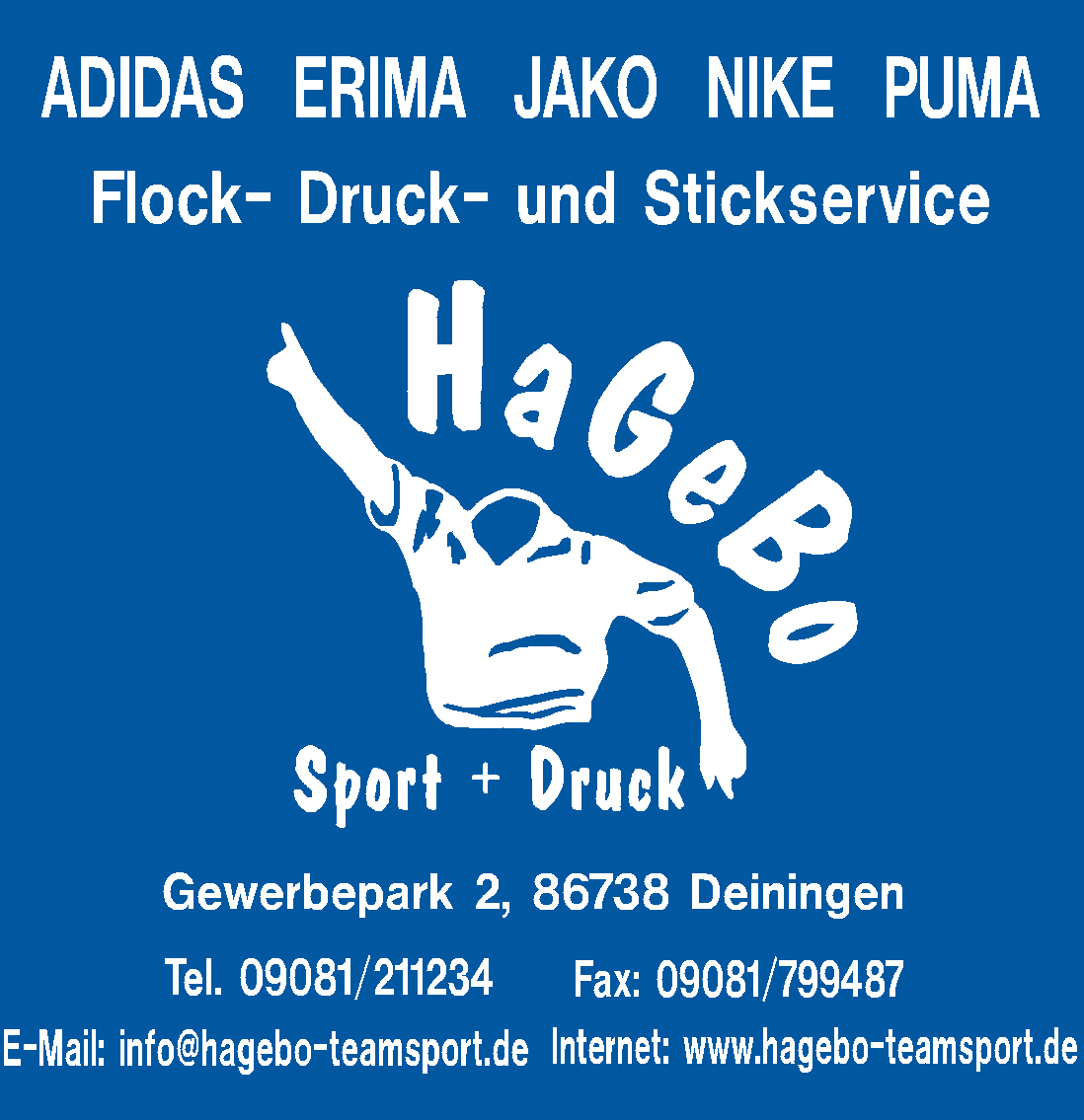 SG Niederhofen-Hausen Logo 2