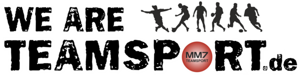 SV Leingarten Fussball Logo 2