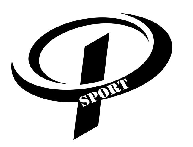 Sportverein Bayerdilling Logo 2