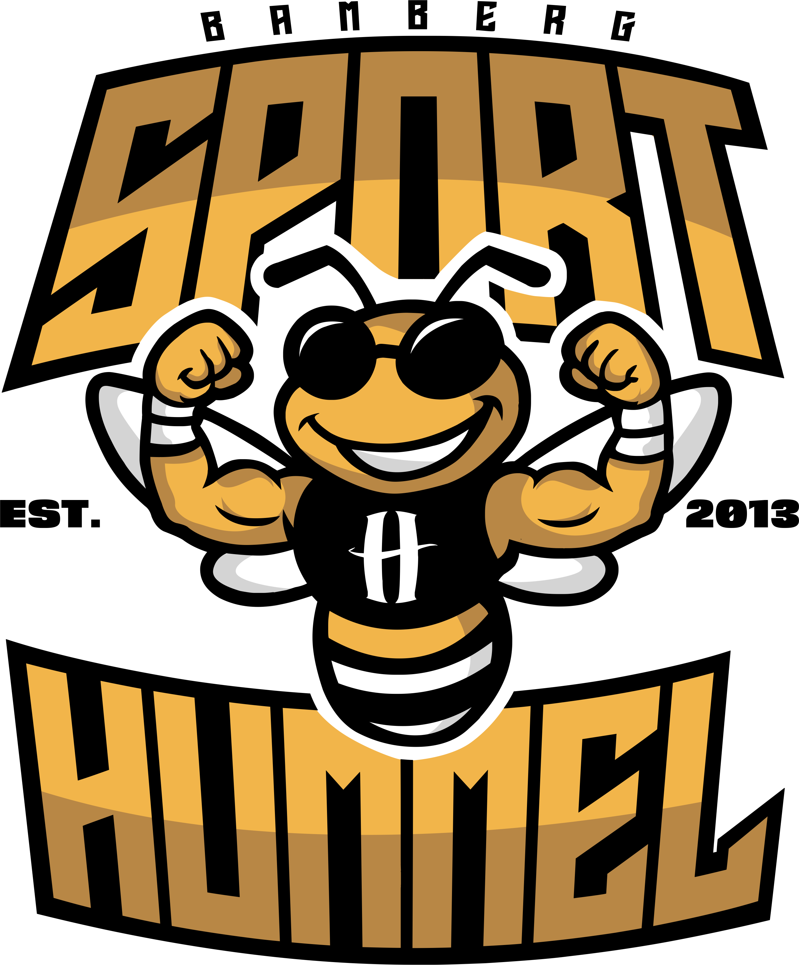 DCS - Martial Arts Academy Bamberg Logo 2