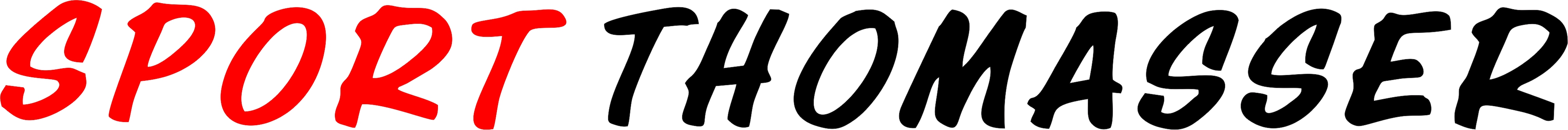 DSG Sele Zell Logo 2
