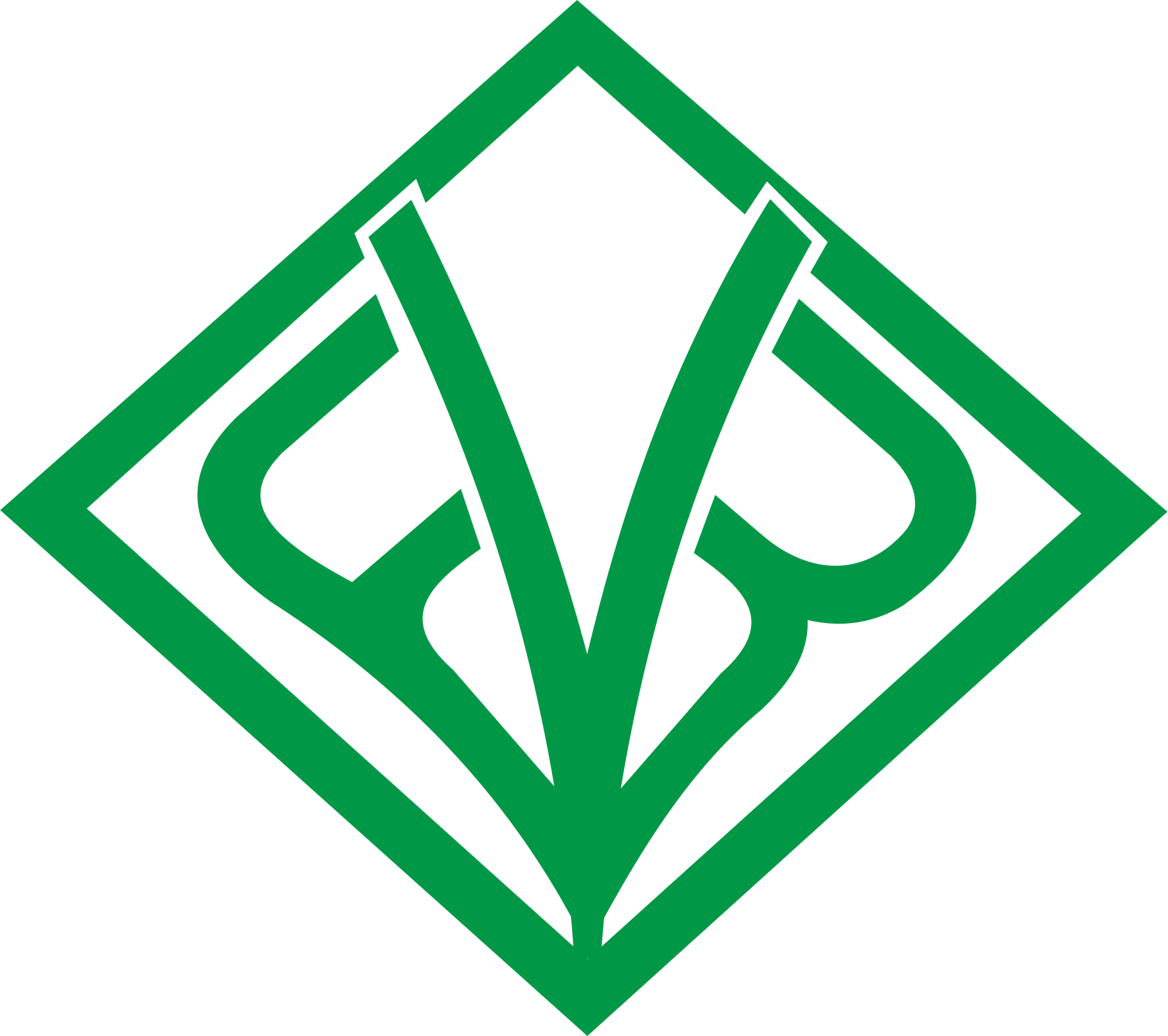 FV Bottenau Logo