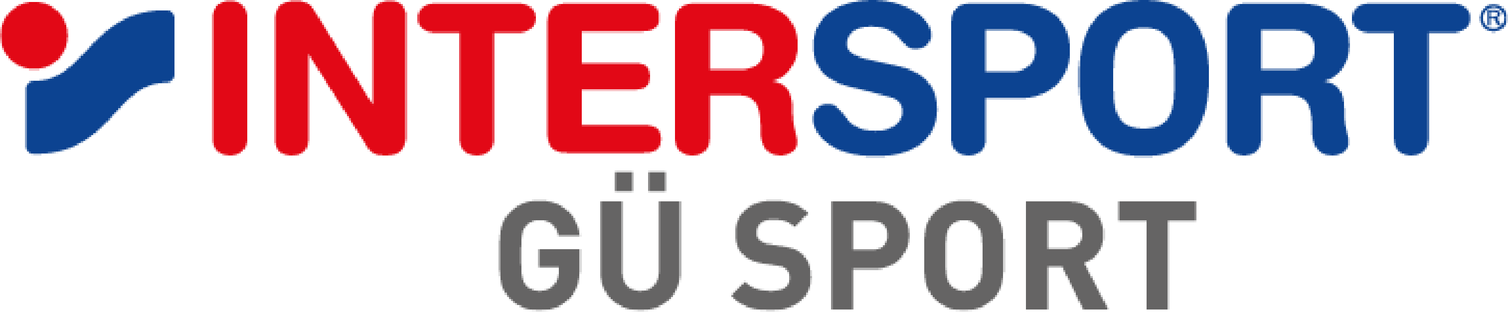 Schulzentrum Leistungssport Chemnitz Logo 2