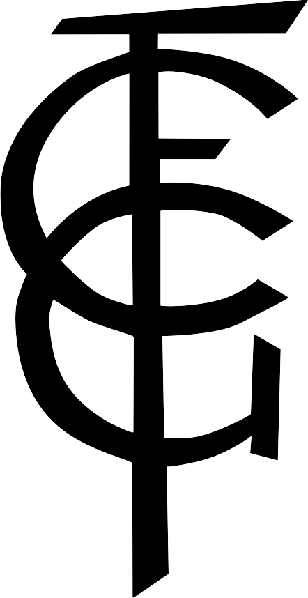 FC Gundelfingen / U19 / Trikots Logo