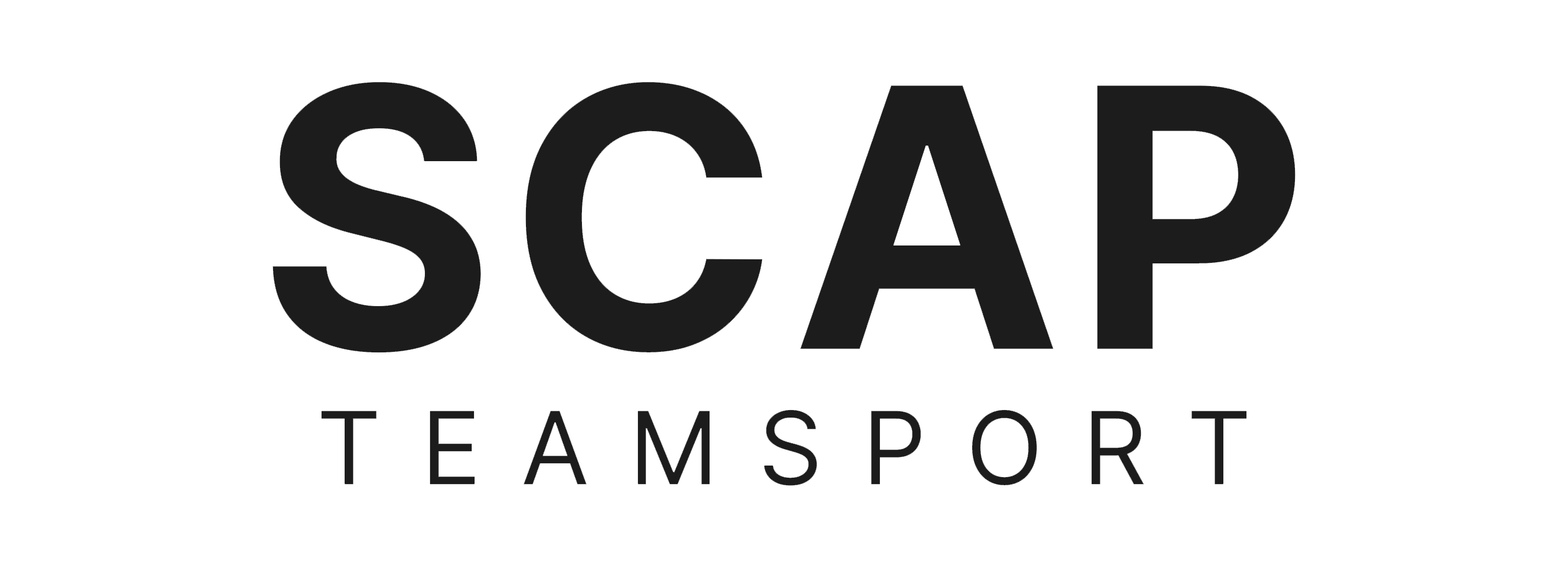 SV Pfaffendorf Logo 2