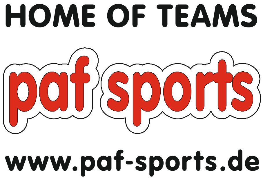 SV ILMMÜNSTER Logo 2