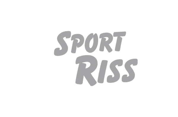 Parhamer Gymnasium Logo 2