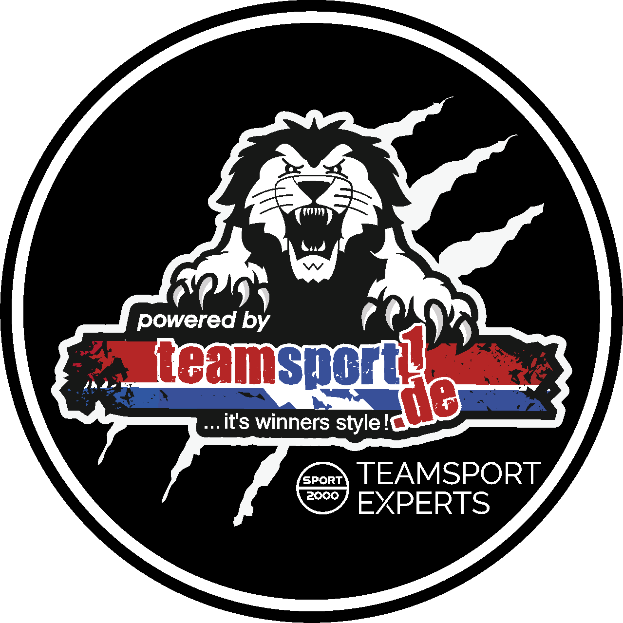 JSG Hünfelden Logo 2