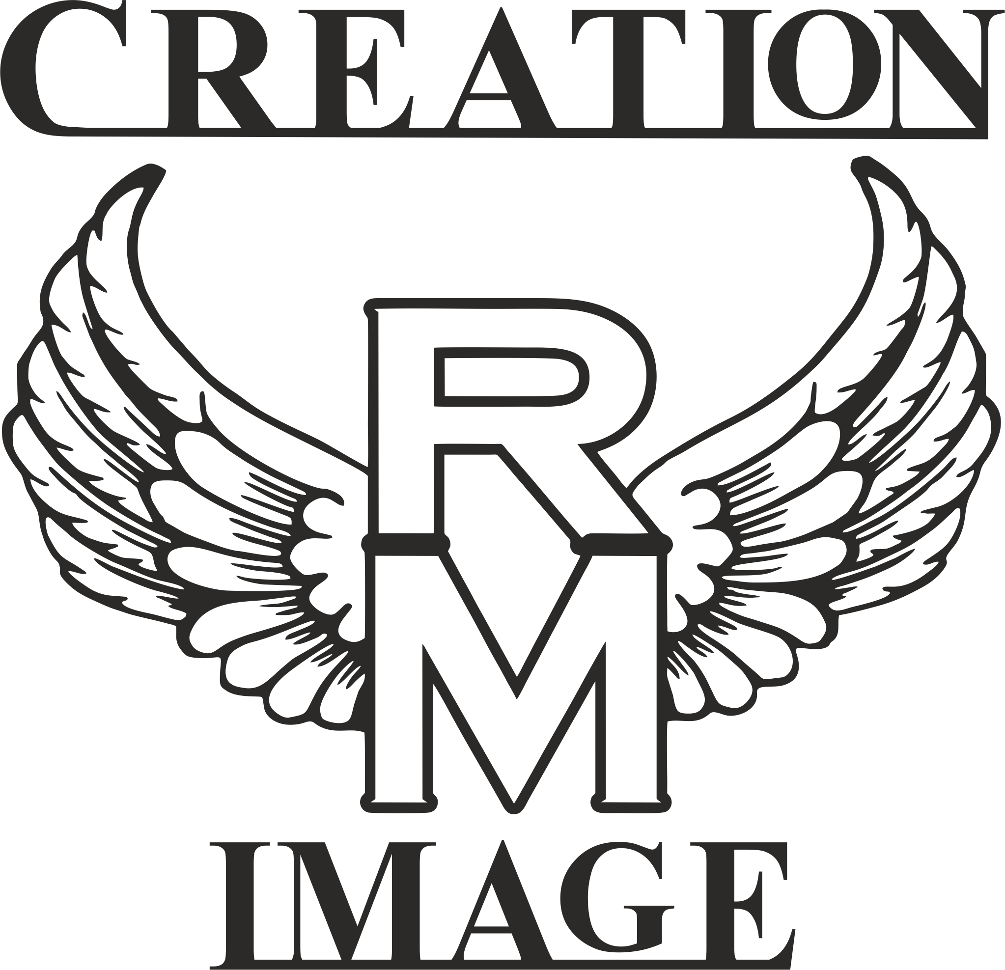 LPSV Steiermark Sektion Padeltennis Logo 2