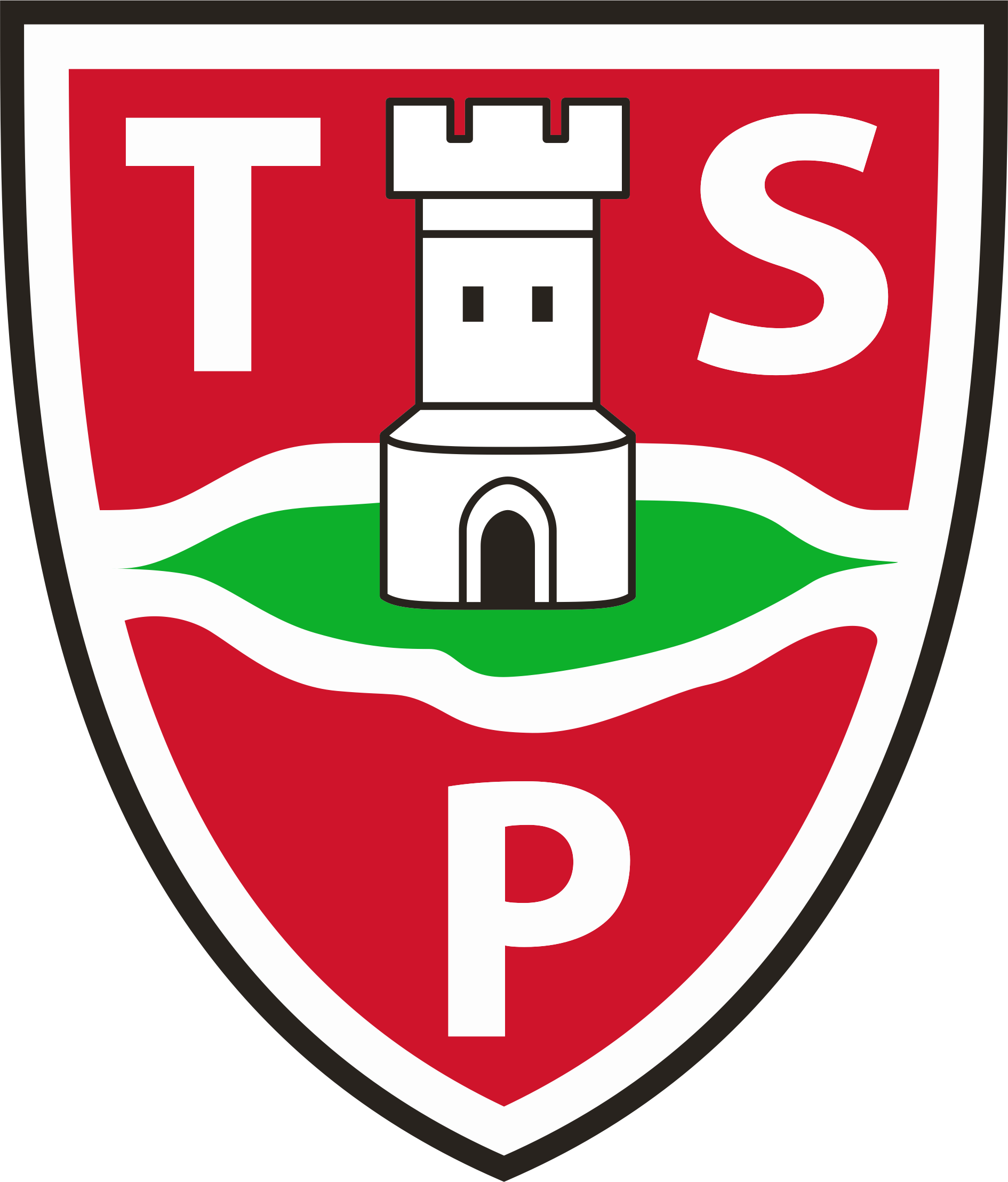 TSG Pasing Logo
