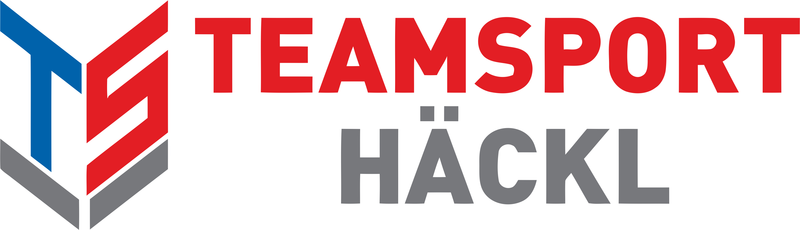 TV 06 Thalmässing Logo 2