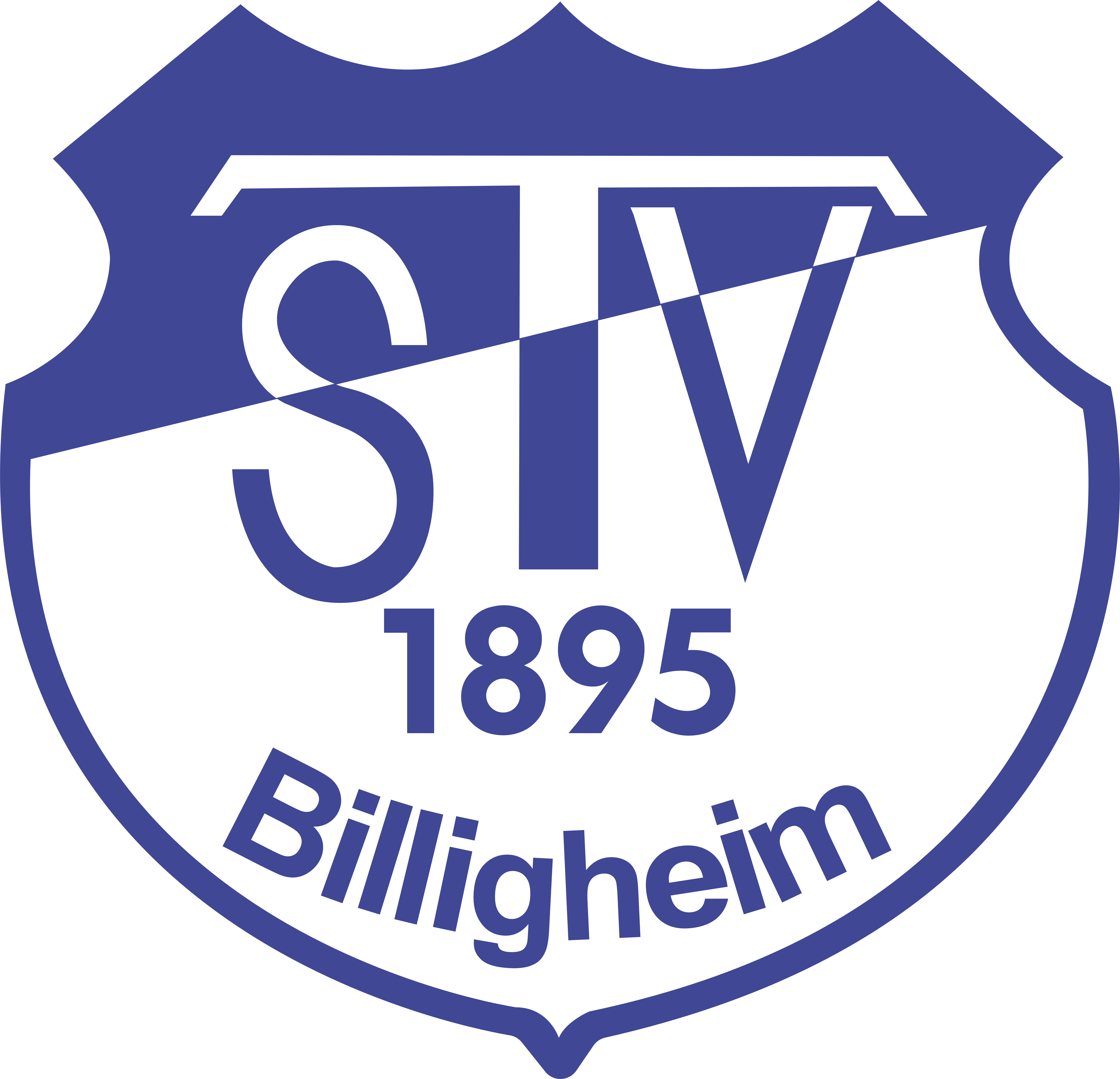 TSV Billigheim Logo