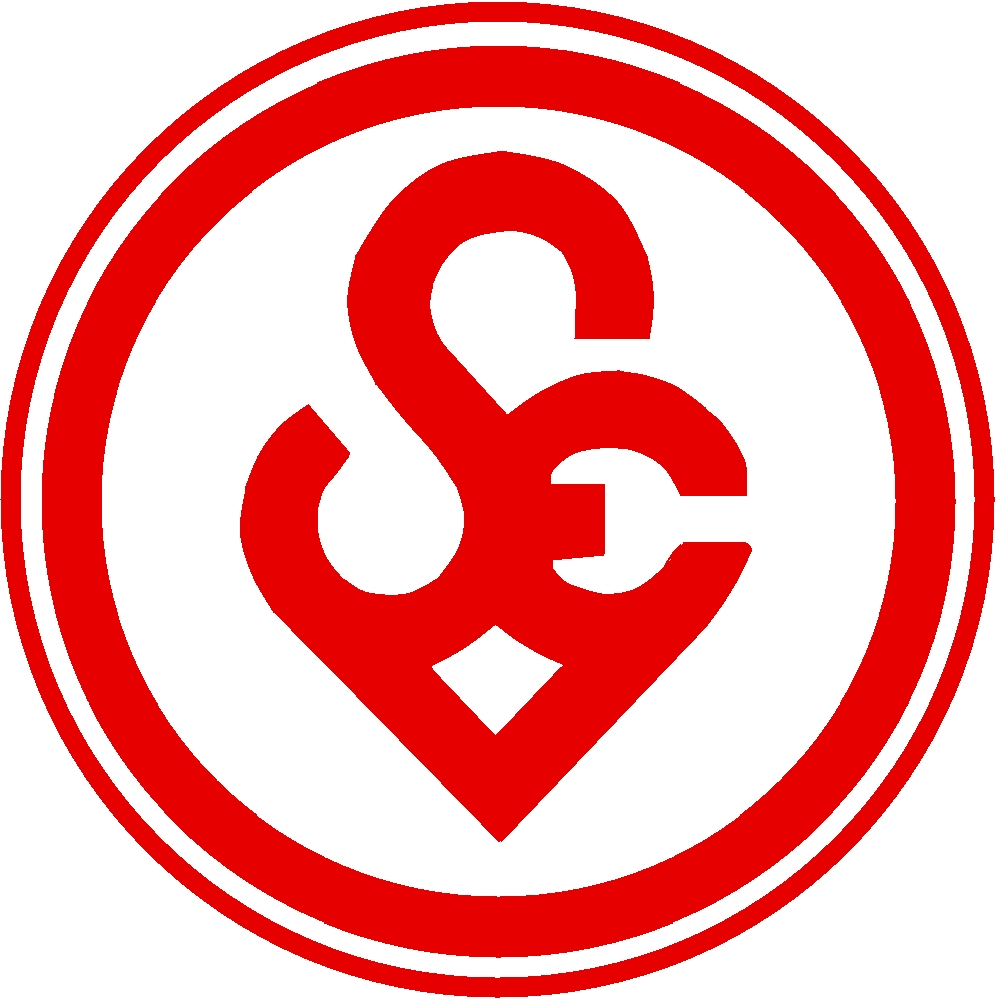 SpVgg Erlangen 2023/24 Logo